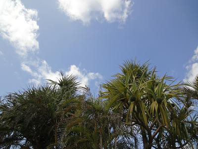 はいさーい!!赤マルソウなつきの楽しいなつKitchen・:*:・°